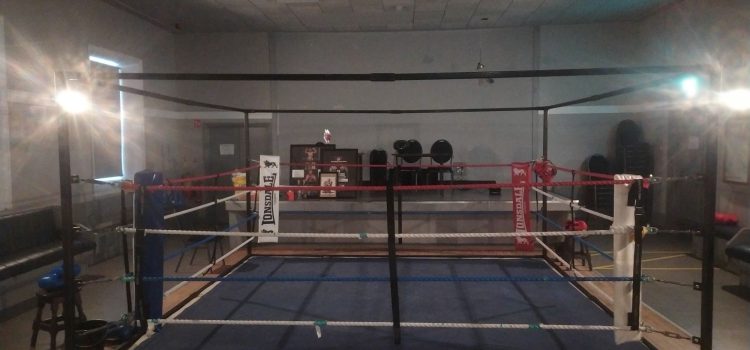Palmerstown Boxing Club Fundraiser