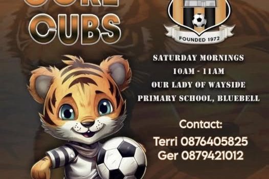 Inchicore Athletics Core Cubs